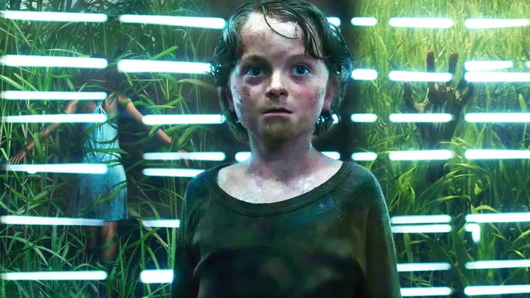 Im hohen Gras backdrop 8