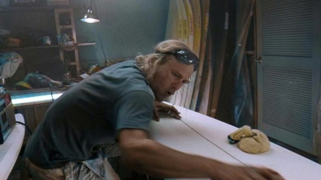 Dogtown Boys backdrop 4