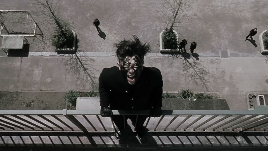 Блакитна весна backdrop 8