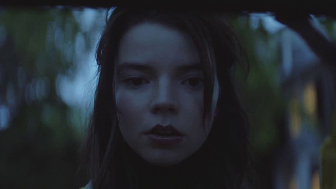 Thoroughbreds backdrop 7