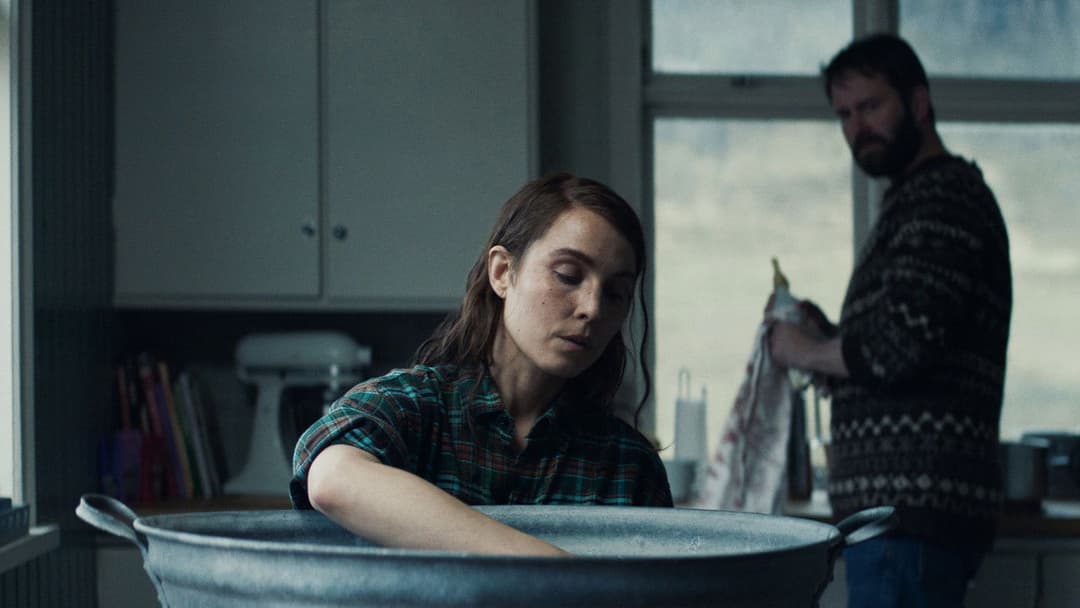 Агнець backdrop 12