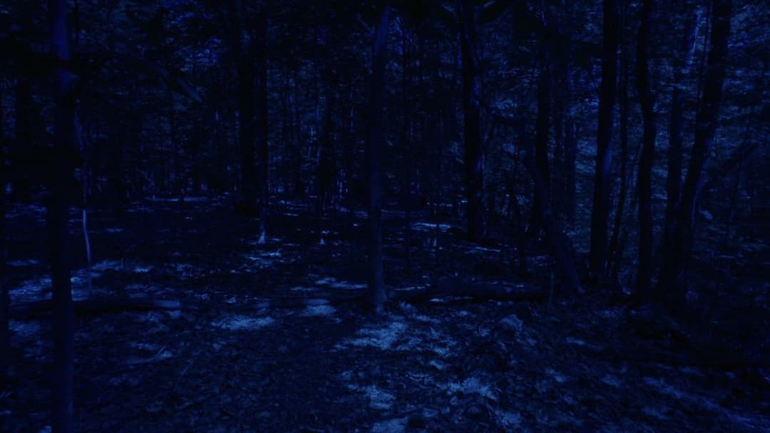 Unsane: Ausgeliefert backdrop 10