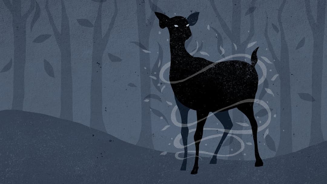 Гаррі Поттер та смертельні реліквії: Частина 1 backdrop 17