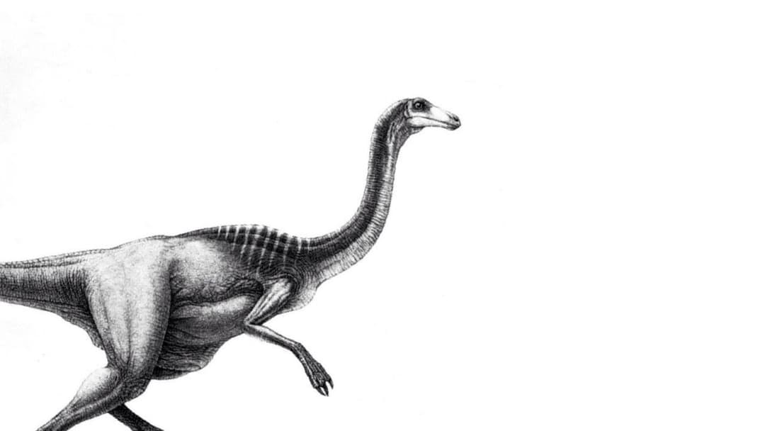 Jurassic Park backdrop 20