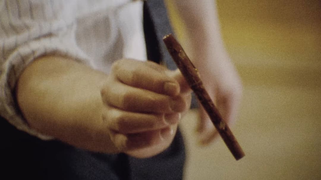 Operation Avalanche backdrop 5