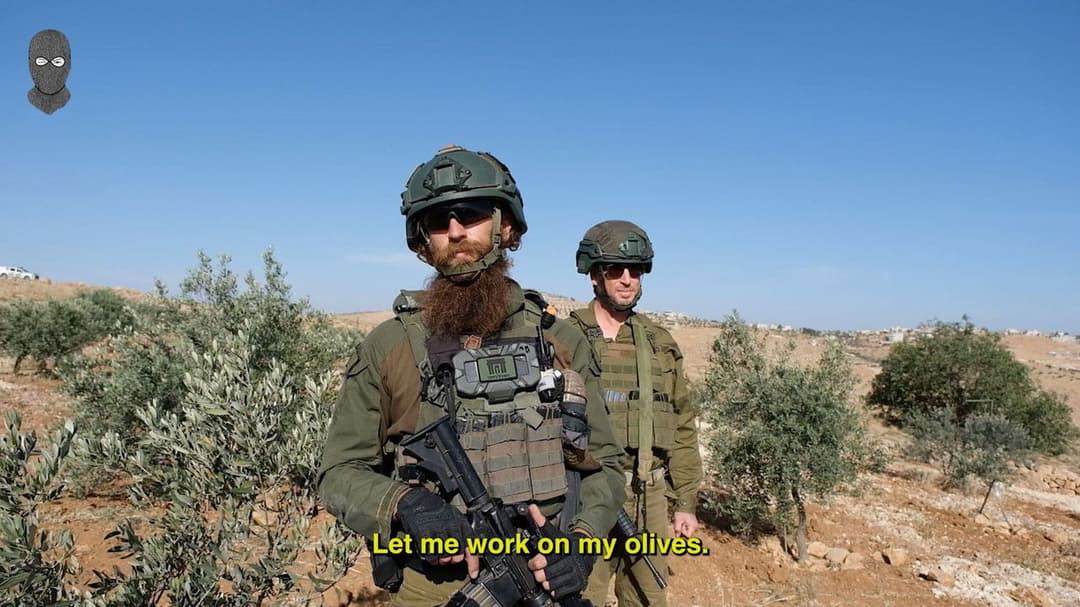 They Break the Tree of Peace backdrop 2