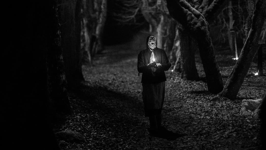 November backdrop 20