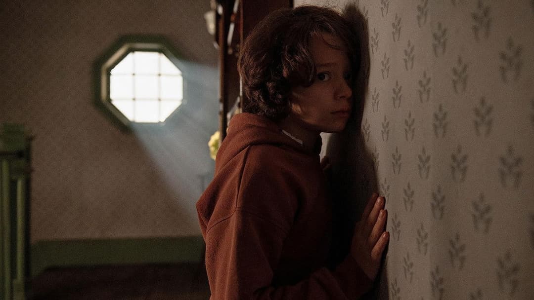 Павутиння backdrop 20