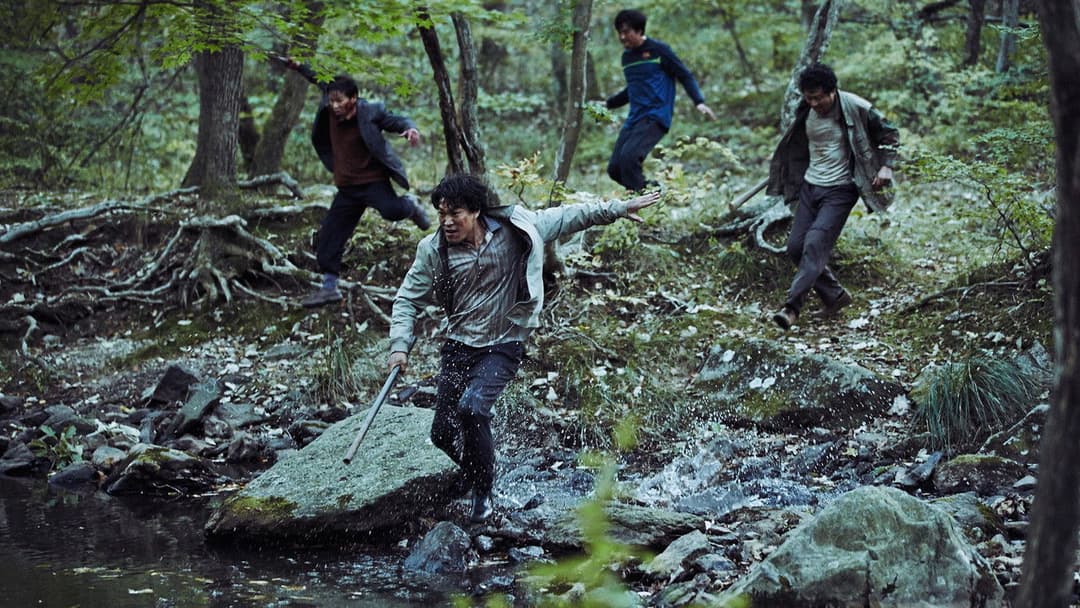 Виття backdrop 17