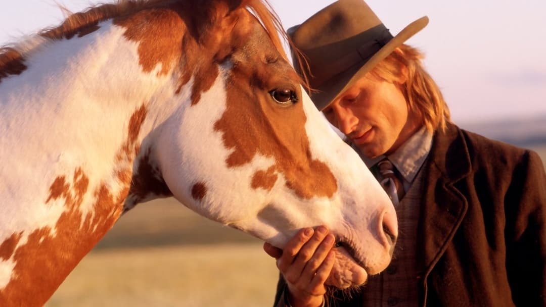 Ідальго backdrop 1