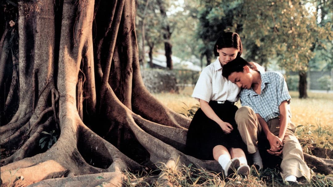 Ein Sommer zum Verlieben backdrop 4