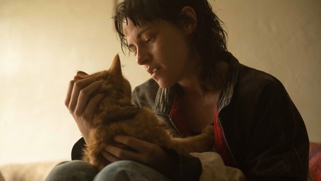 Любов, брехня та кровопролиття backdrop 11