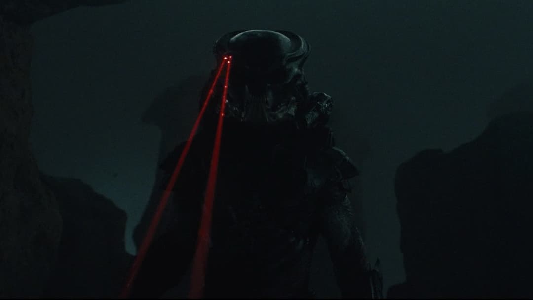 Predators backdrop 17