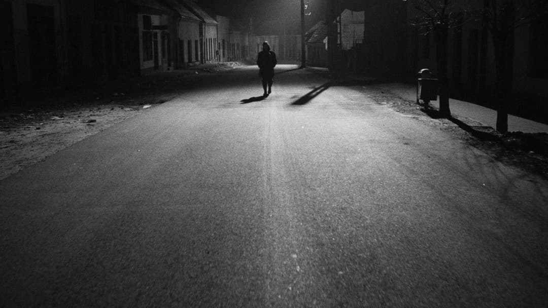 Die Werckmeisterschen Harmonien backdrop 4