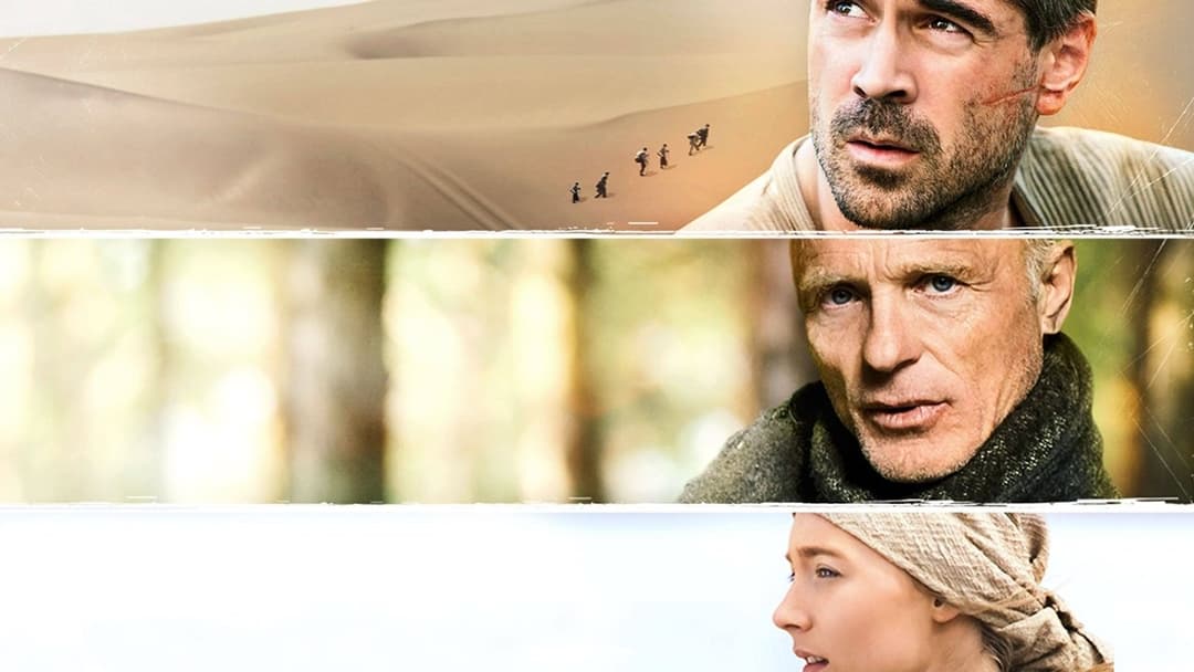 Шлях додому backdrop 8