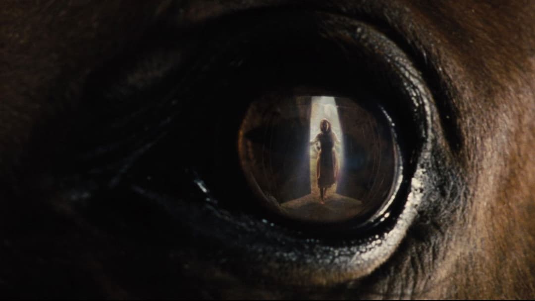 War Horse backdrop 13