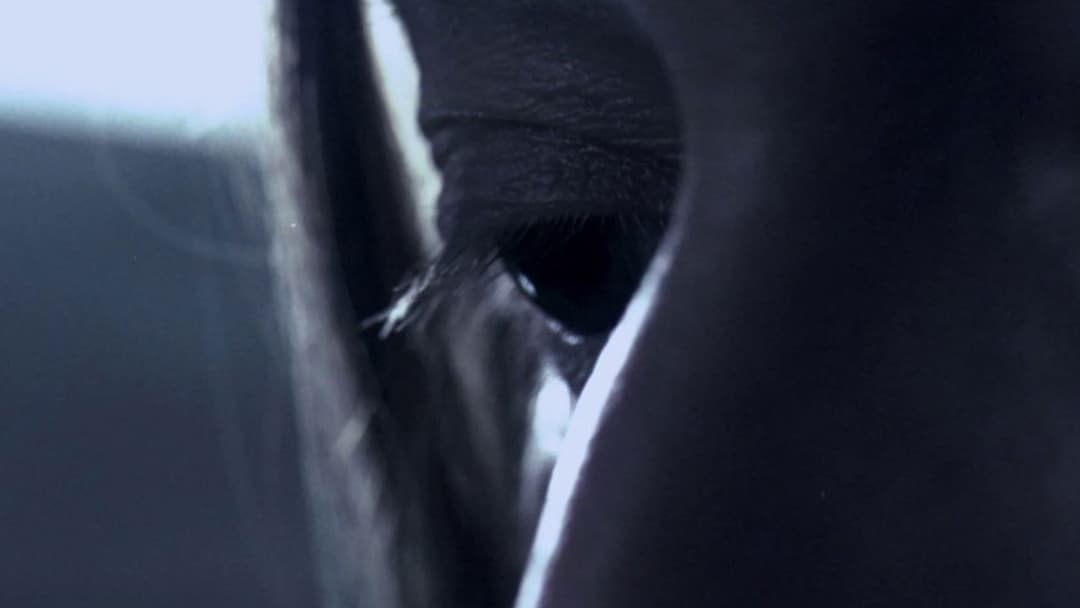 Young Adam - Dunkle Leidenschaft backdrop 14