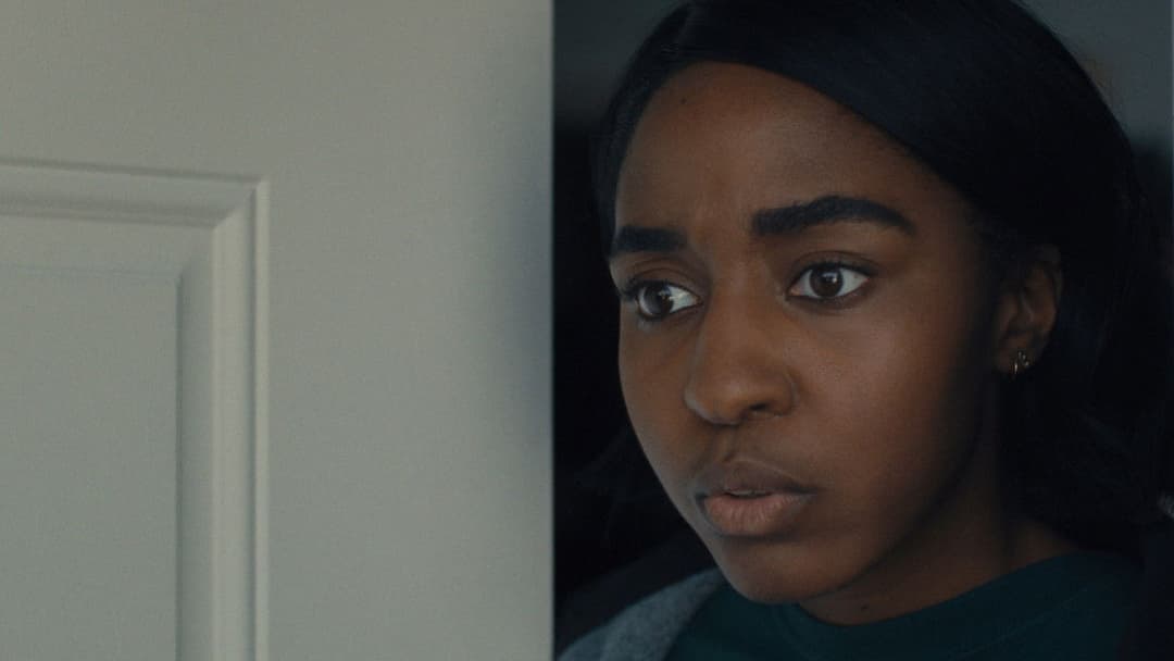 Omni Loop backdrop 5