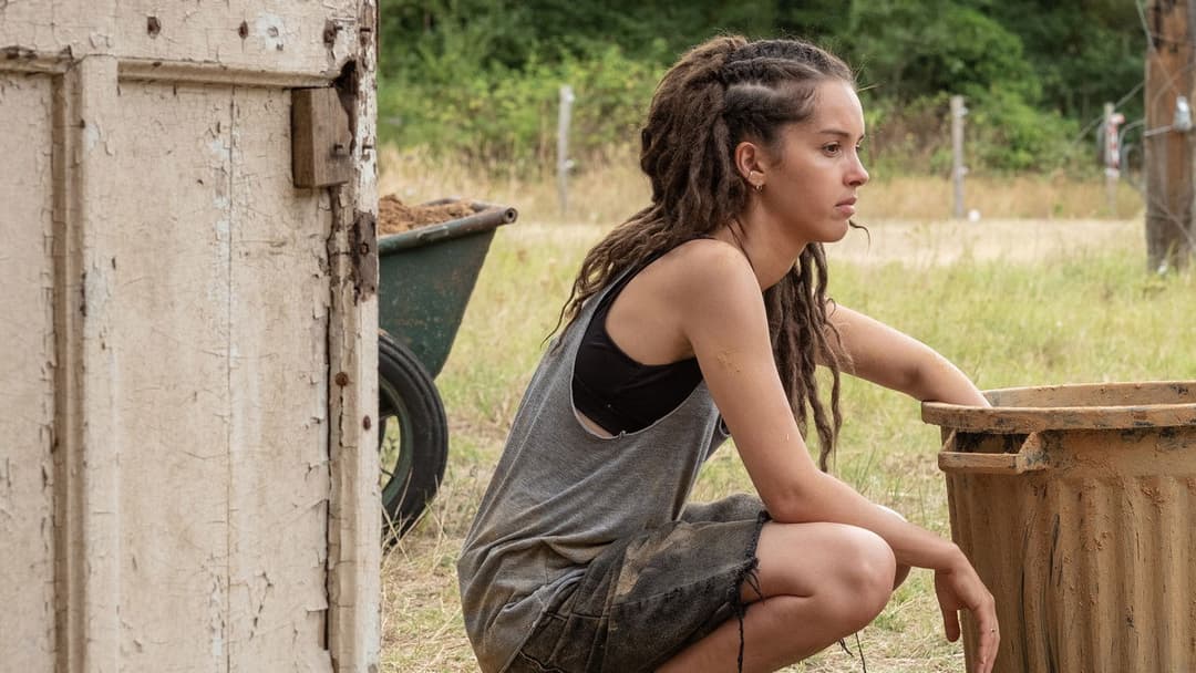 A Place to Fight For backdrop 4