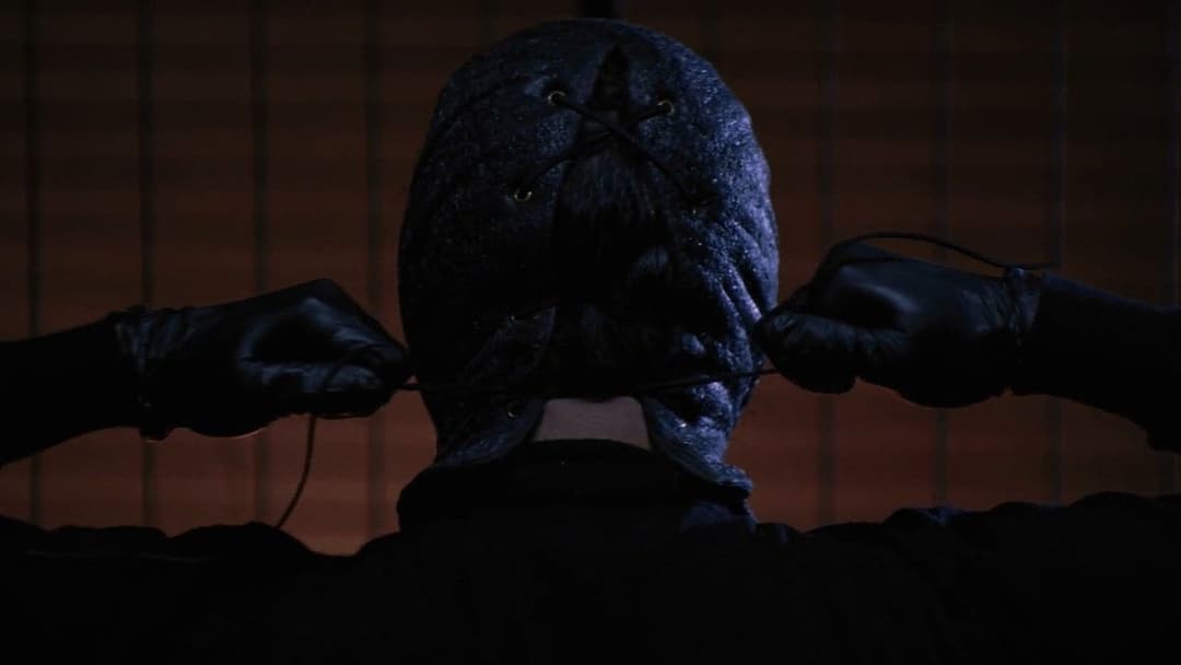 The Collection backdrop 12