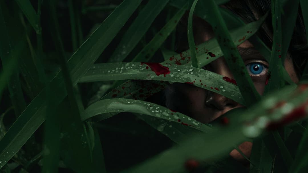 Im hohen Gras backdrop 10