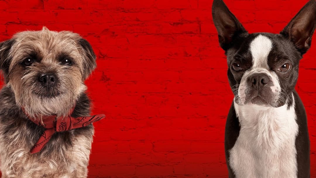 Doggy Style backdrop 3