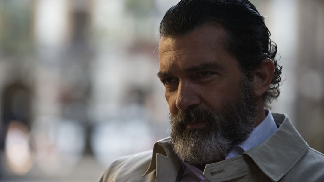 Haywire - Trau’ keinem backdrop 8