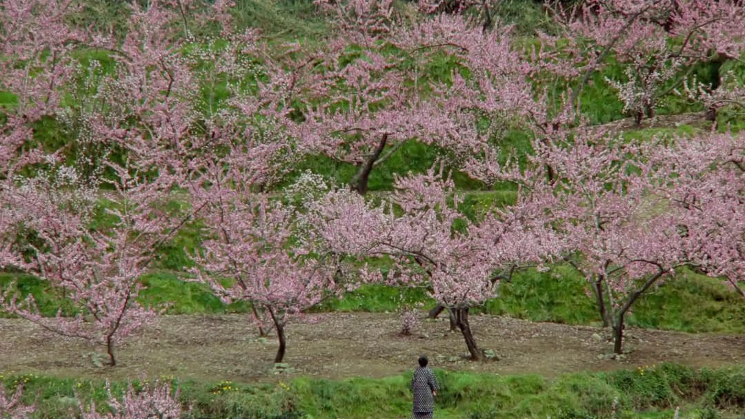 Сни Акіри Куросави backdrop 19