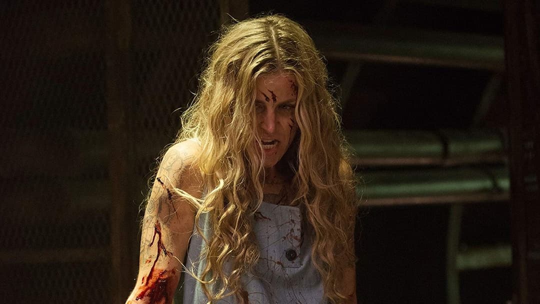 3 from Hell backdrop 6