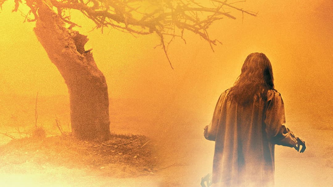 The Exorcism of Emily Rose backdrop 15