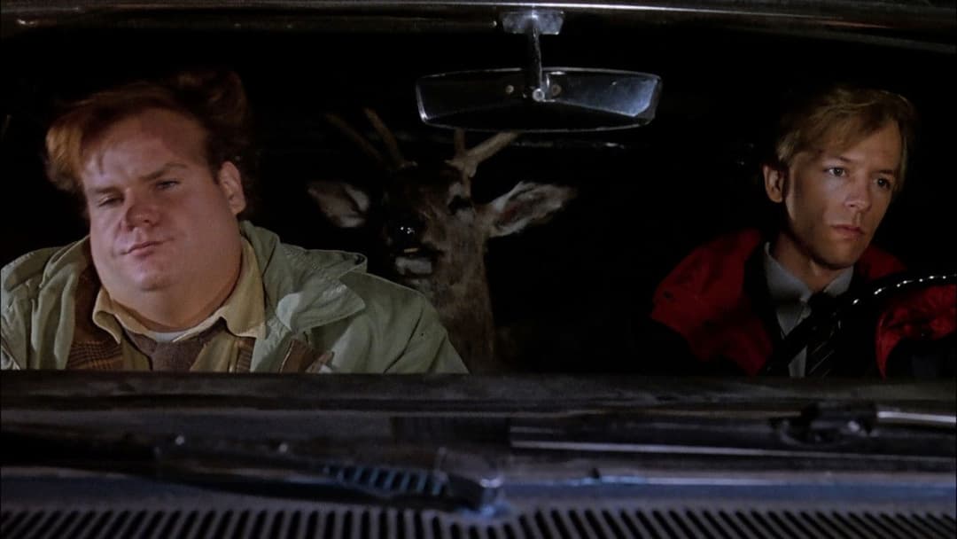 Томмі Телепень backdrop 7