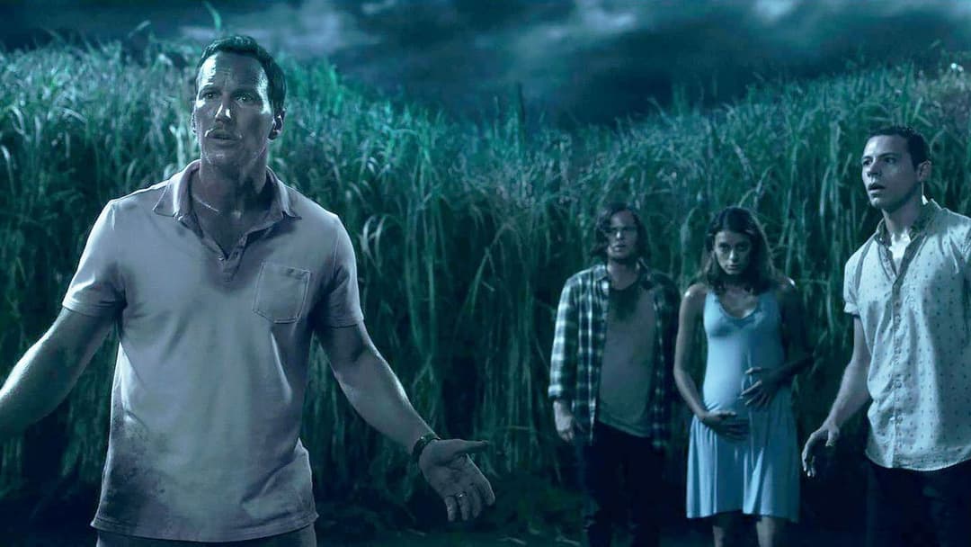 Im hohen Gras backdrop 6