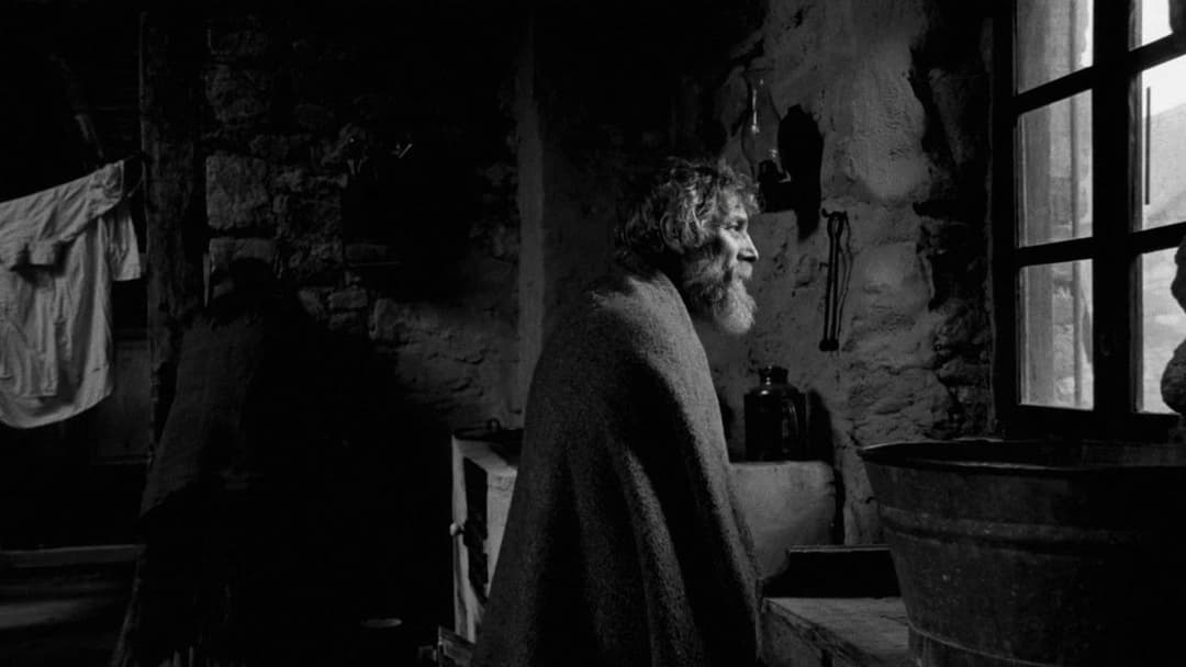 The Turin Horse backdrop 7