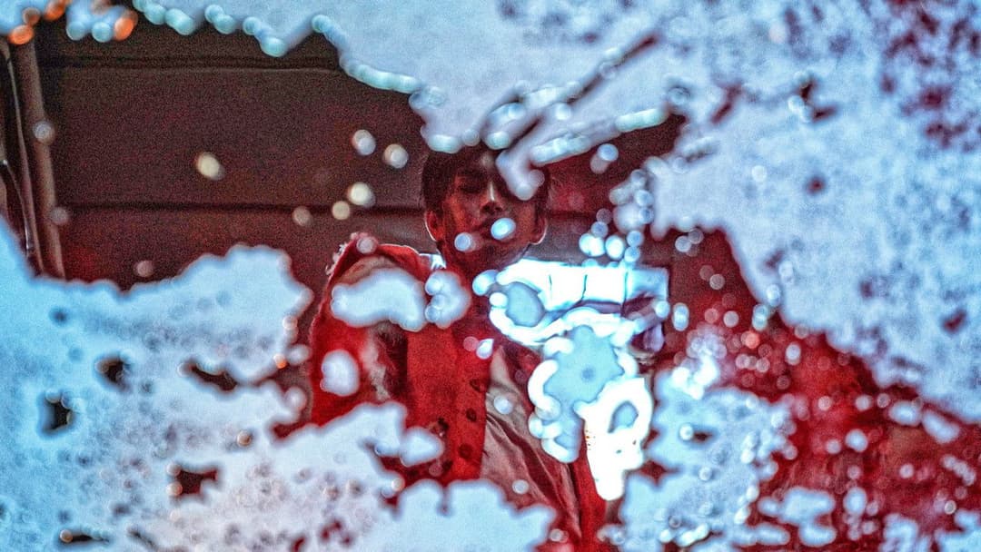 Проект Полювання на вовка backdrop 5