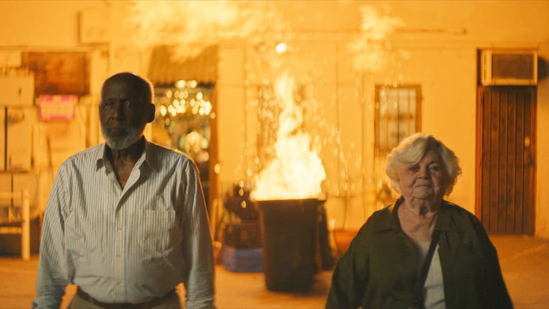 Тельма backdrop 19