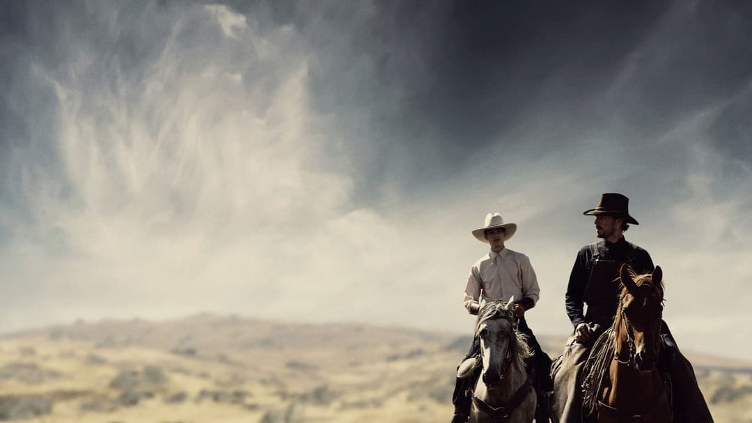 The Power of the Dog backdrop 6