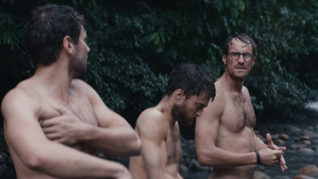 Джунглі backdrop 18