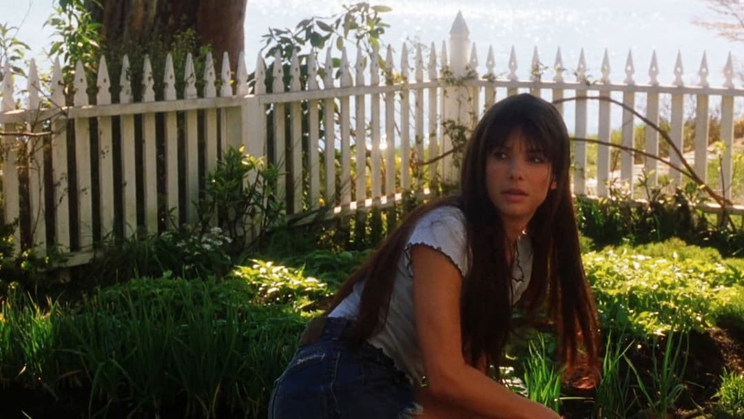 Practical Magic backdrop 7