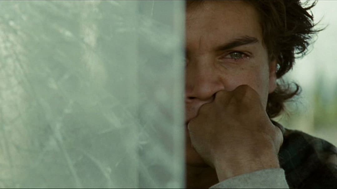 Into the Wild backdrop 7