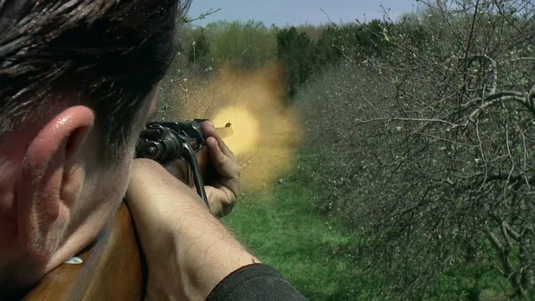 Джонні Д. backdrop 2