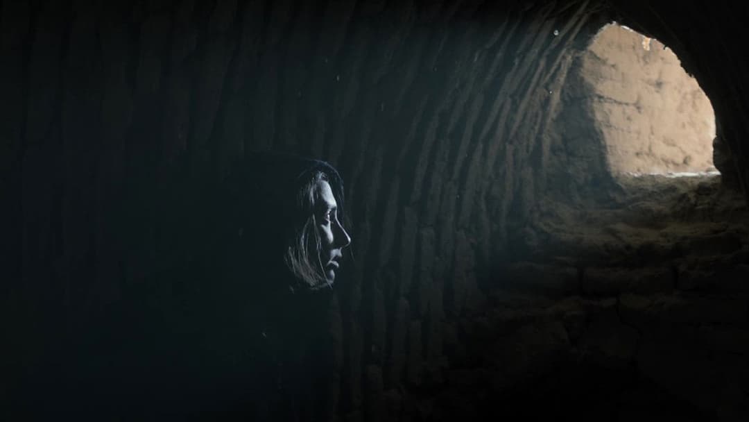 The Seed of the Sacred Fig backdrop 16