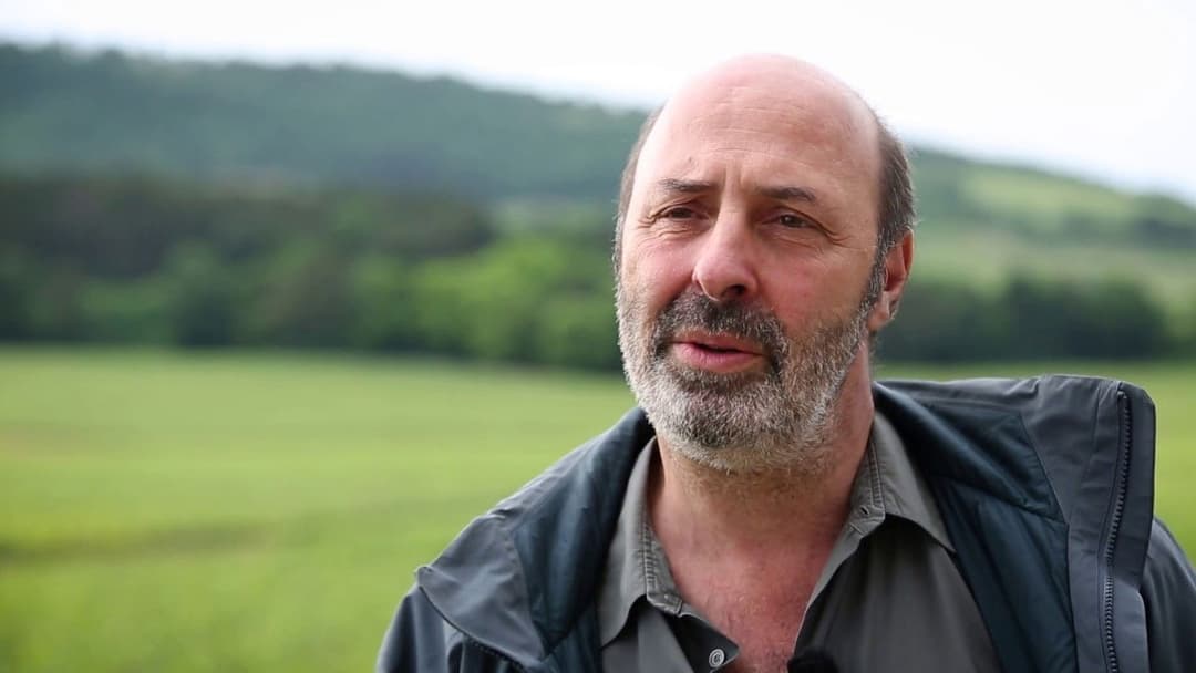 Der Wein und der Wind backdrop 11