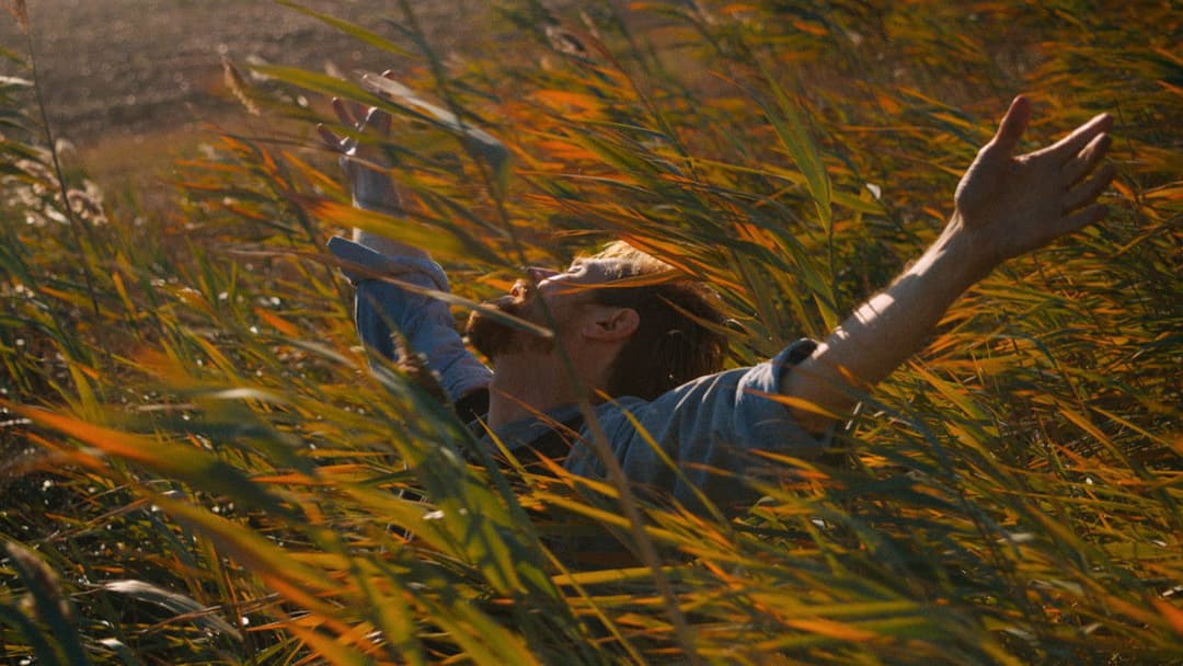 Ван Гог. На порозі вічності backdrop 13