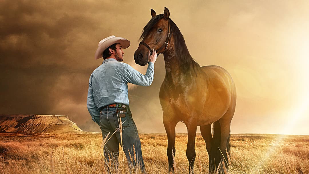 The Rider backdrop 5