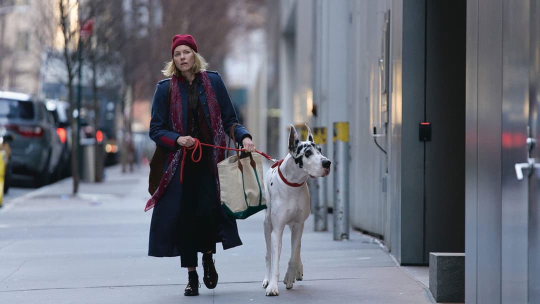 The Friend backdrop 8