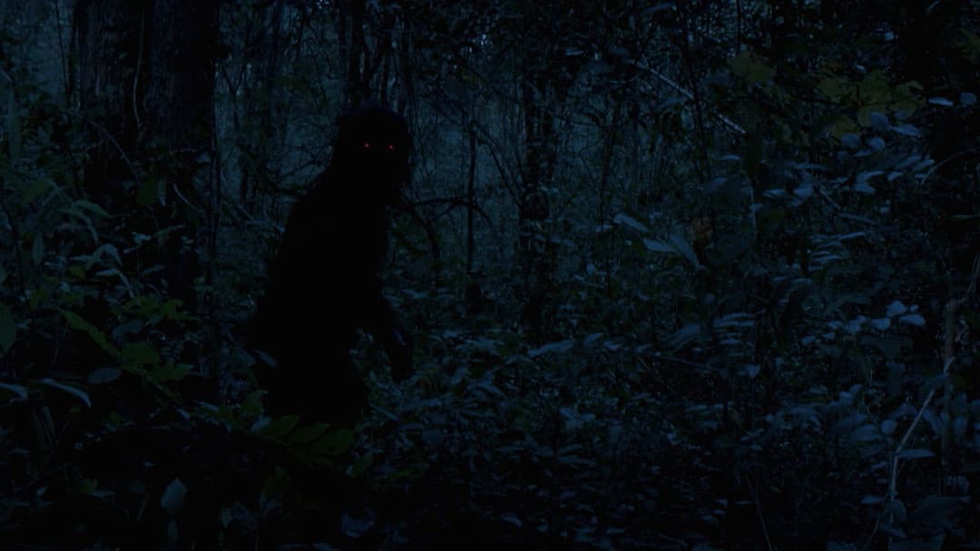 Uncle Boonmee Who Can Recall His Past Lives backdrop 19