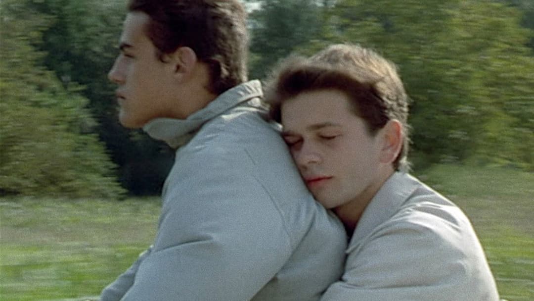 Wilde Herzen backdrop 3