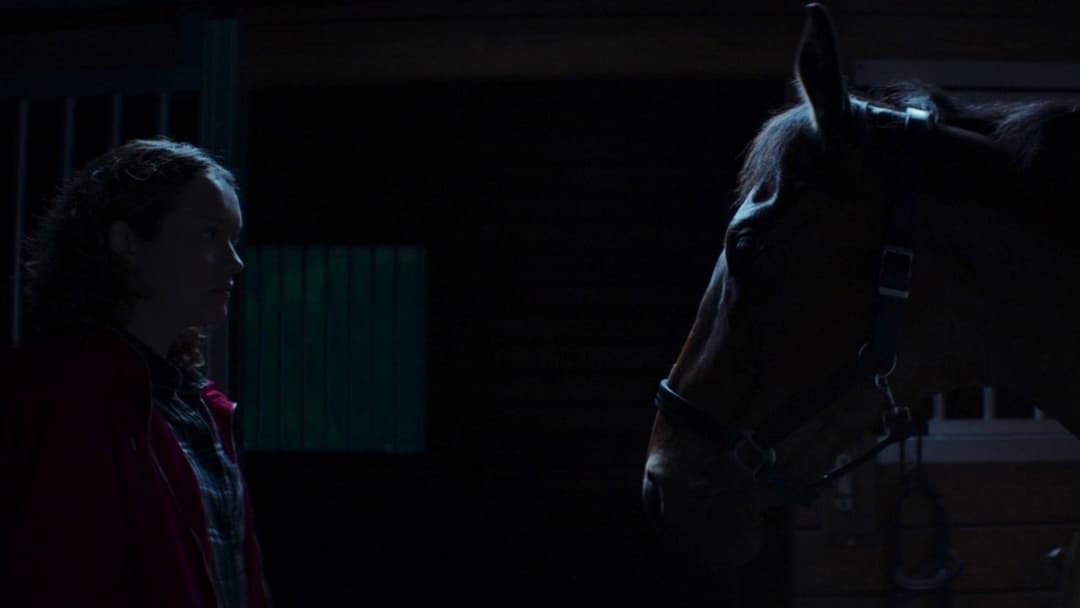 Thoroughbreds backdrop 8