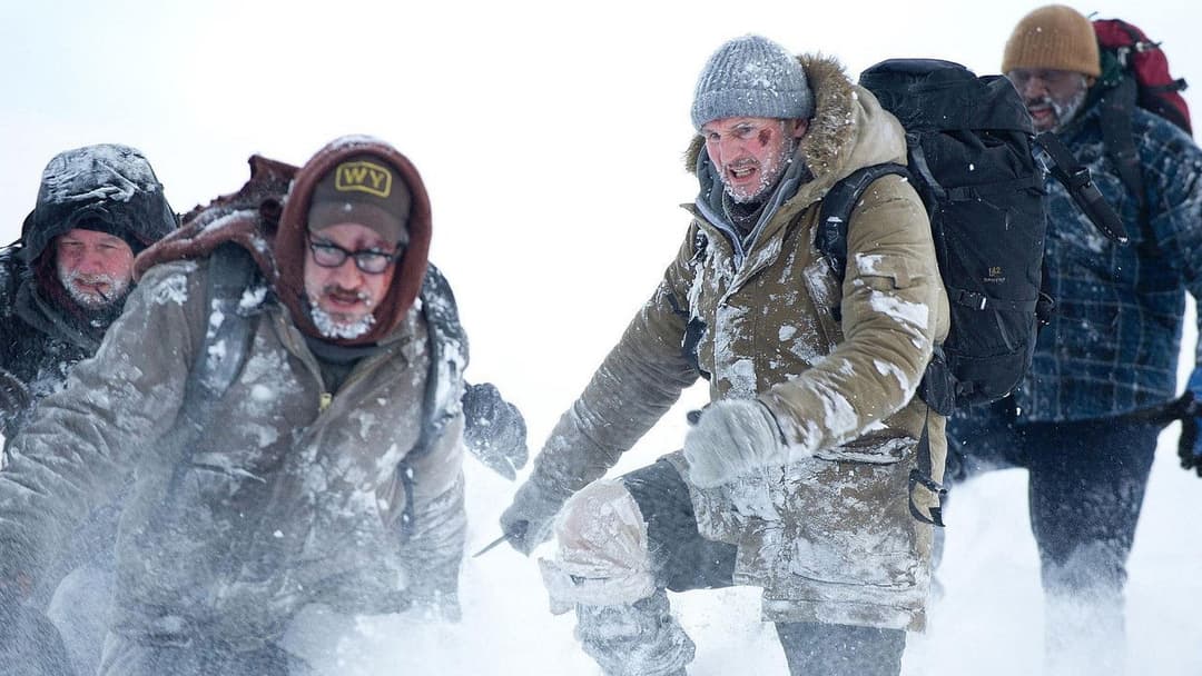 The Grey backdrop 11