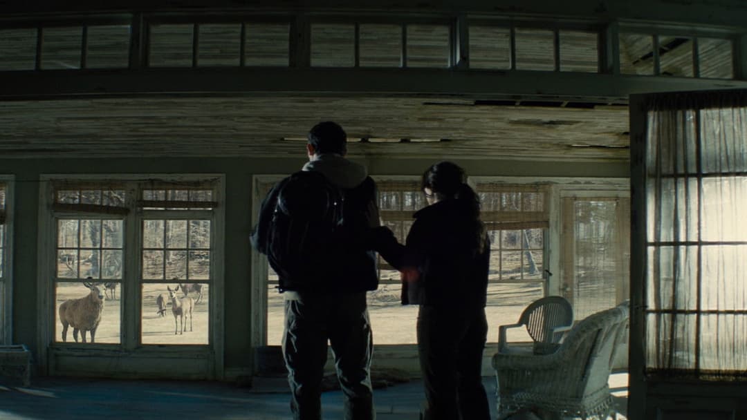 День істини backdrop 7